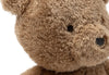 Stuffed animal - Bear Brave
