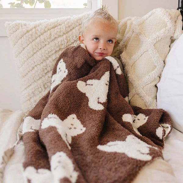 Teddy bear plush blanket (2 sizes)