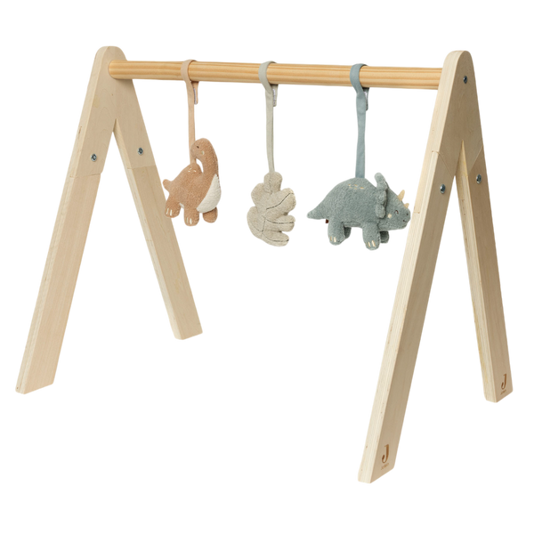 Babygym toys - Roarsome