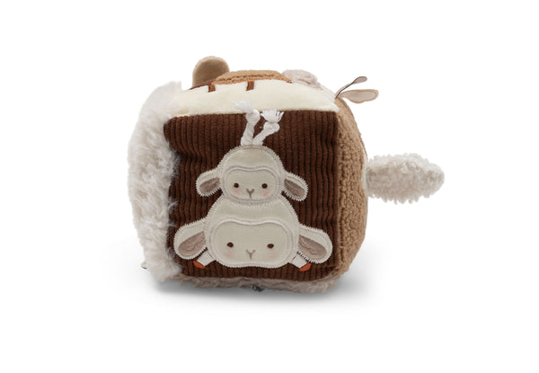Activity Cube - Woolly