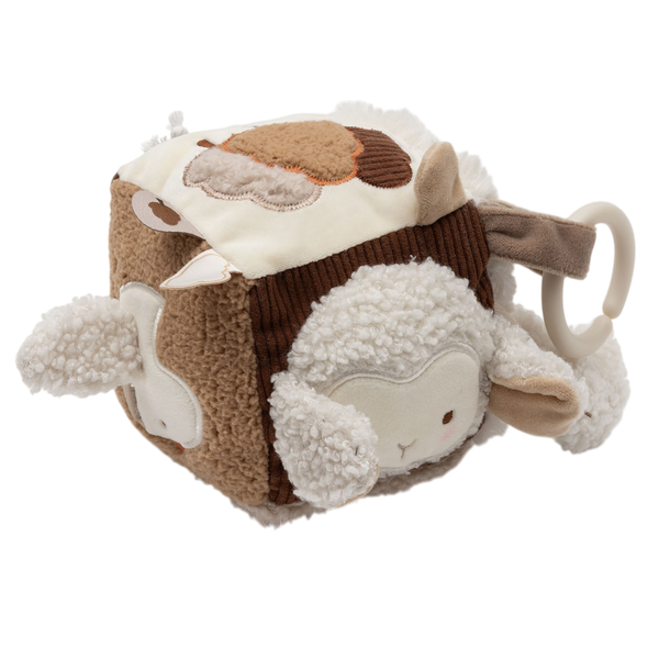 Activity Cube - Woolly
