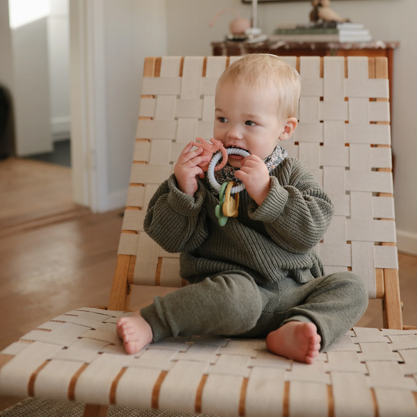Teether toy - Western