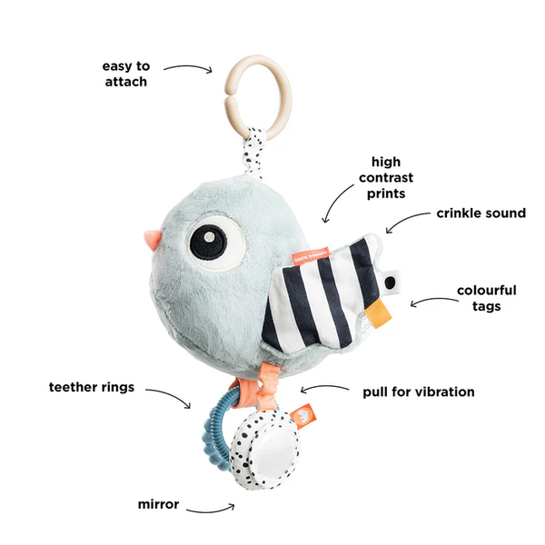 Activity sensory toy - Bird