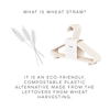 Wheat Straw Hangers pack of 15 - Cream