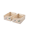 Boîtes de rangement MEDIUM - Pqt de 2 - Dino roar