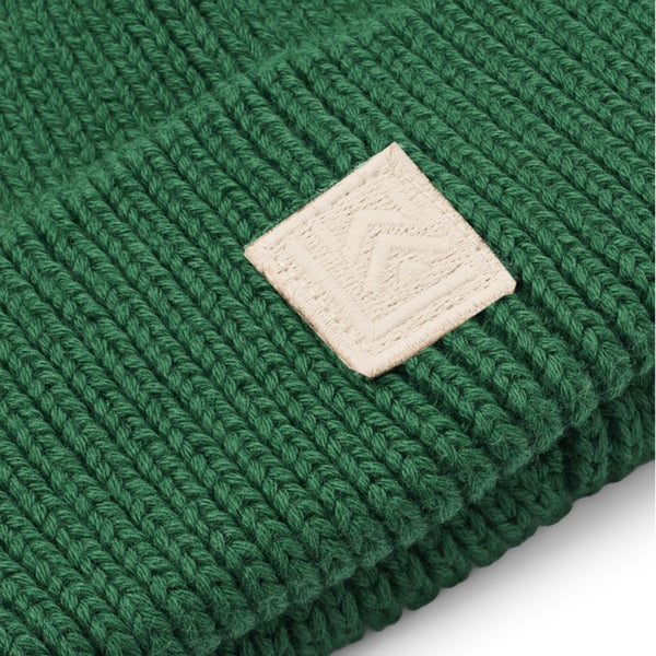 Tuque Ezra - Garden green