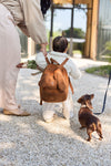 Backpack - Diego