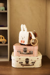 Activity Cube - Animal Friends