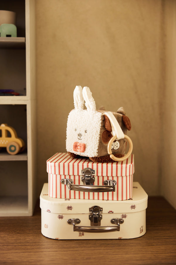 Activity Cube - Animal Friends