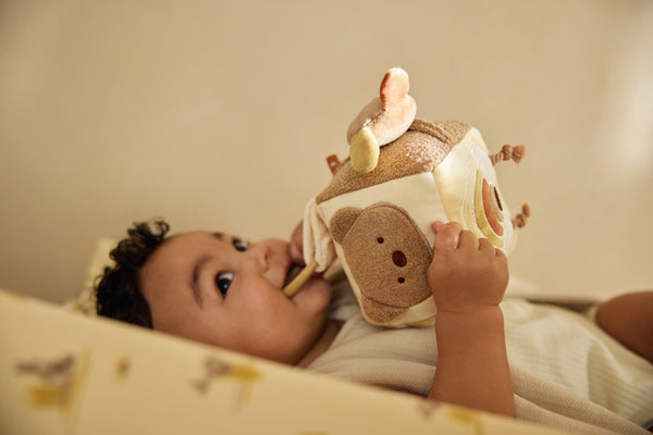 Cube d'activités - Kangaroots