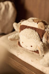 Activity Cube - Woolly