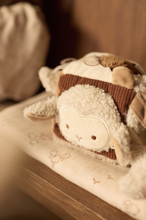 Activity Cube - Woolly