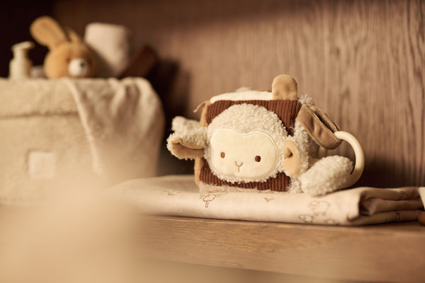 Activity Cube - Woolly