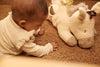 Stuffed Activity Animal - Donkey Dinky