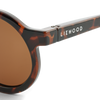 Darla sunglasses 1-3 years - Dark tortoise