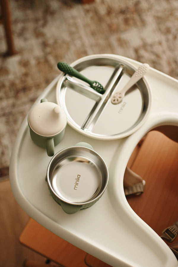 Bol en acier inoxydable avec succion en silicone