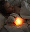 Peluche ours avec lampe et son - Polar