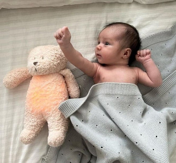 Peluche ours avec lampe et son - Sable