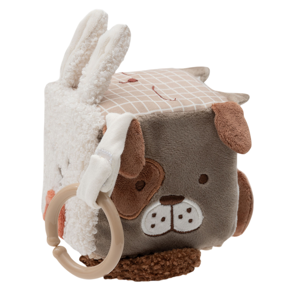 Activity Cube - Animal Friends
